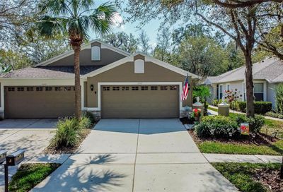 15757 Phoebepark Avenue Lithia FL 33547