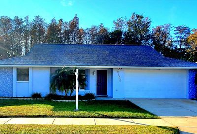 8100 Brown Pelican Avenue New Port Richey FL 34653