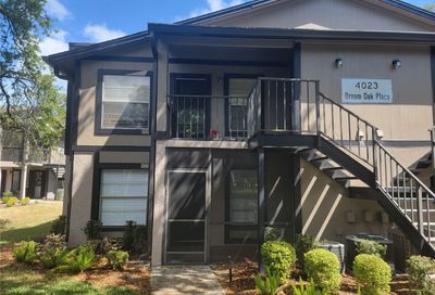 4023 Dream Oak Place Tampa FL 33613