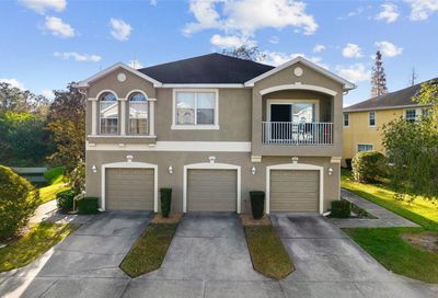 8950 Moonlit Meadows Loop Riverview FL 33578