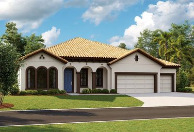 175 Mossy River Court Brandon FL 33511