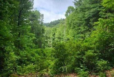 Zeb Buchanan Road Cullowhee NC 28723