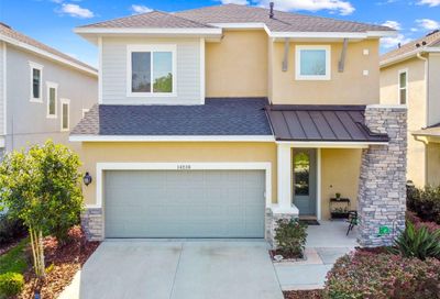 14238 Natures Reserve Drive Lithia FL 33547