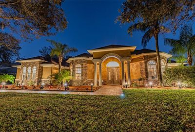 19921 Dolores Ann Court Lutz FL 33549
