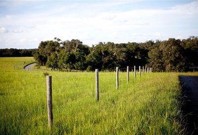 17250 SE 260th Avenue Road Umatilla FL 32784
