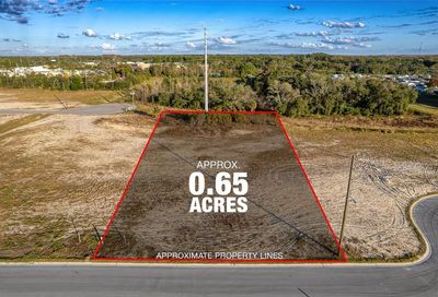 Roam New Port Richey FL 34654