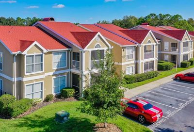 9481 Highland Oak Drive Tampa FL 33647