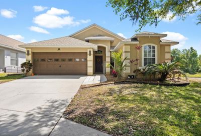 3522 Gray Whetstone Street Brandon FL 33511