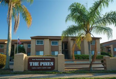 1575 Greenlea Drive Clearwater FL 33755