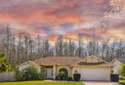 8520 Cypress Lakes Boulevard New Port Richey FL 34653