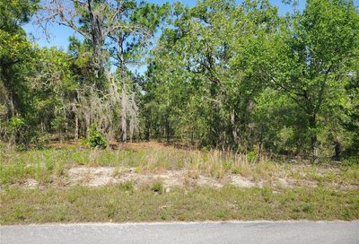 Tbd SW Viola Court Dunnellon FL 34431