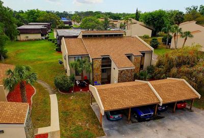 7110 Cognac Drive New Port Richey FL 34653