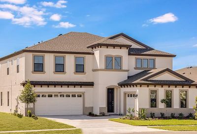 12863 Tortoise Shell Place Riverview FL 33579
