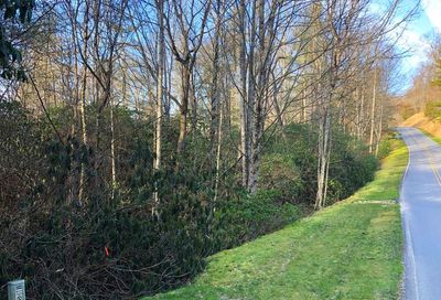 153 Chattooga Run Hendersonville NC 28739