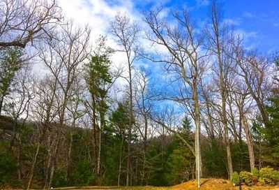Lot 6 Elk Mountain Ridge Asheville NC 28804