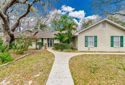 12104 Shadow Run Boulevard Riverview FL 33569