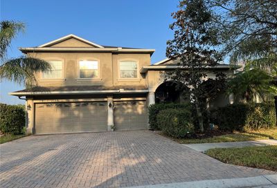 20204 Regal Fern Court Tampa FL 33647
