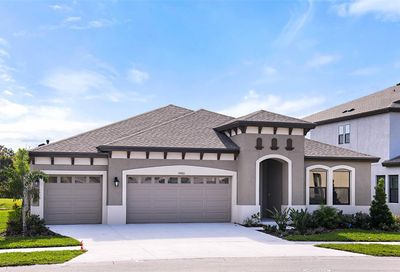 12731 Fisherville Way Riverview FL 33579