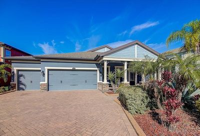 13221 Fawn Lily Drive Riverview FL 33579