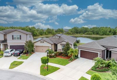 11605 Kilkenny Coral Drive Riverview FL 33579
