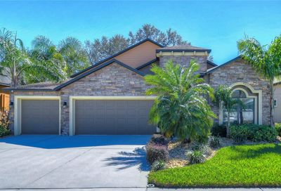 2733 Colewood Lane Valrico FL 33594