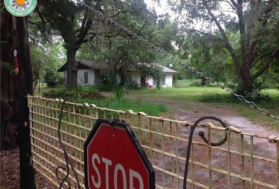 933 7th Avenue Gotha FL 34734