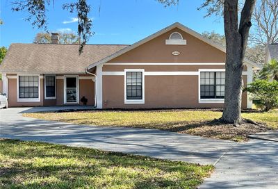 18305 SE Big Pond Way Tampa FL 33647