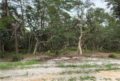 00 SW 150th Street Dunnellon FL 34432