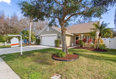 418 Cypress View Drive Oldsmar FL 34677