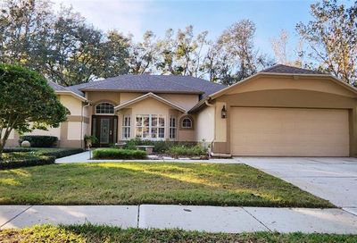 3821 Turkey Oak Drive Valrico FL 33596