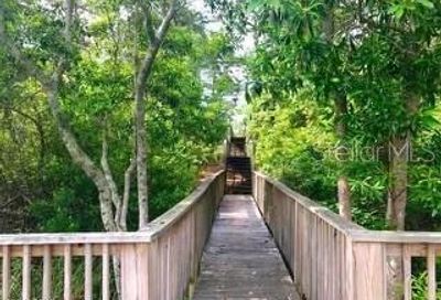 49 E Willow Mist Road Inlet Beach FL 32413