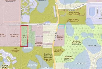 17704 Grove Blossom Way Winter Garden FL 34787