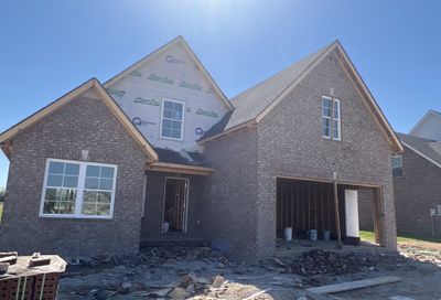 3046 Ronstadt Dr Christiana TN 37037