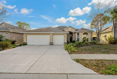 1911 Wood Bend Street Tarpon Springs FL 34689