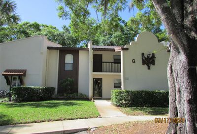 3505 Tarpon Woods Boulevard Palm Harbor FL 34685