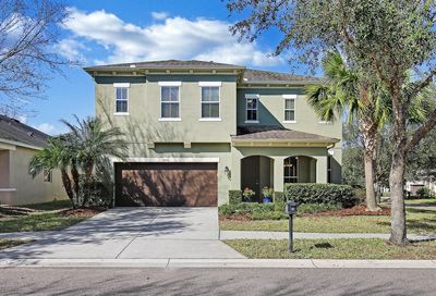 5101 Oakline View Drive Lithia FL 33547