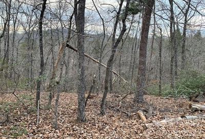 301 Otter Lane Lake Lure NC 28746