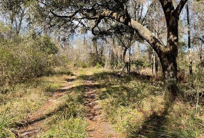 NE Waldo Sr 24 Road Gainesville FL 32609