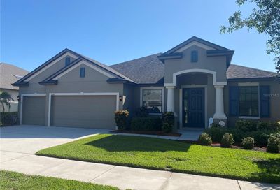11011 Brahman Ranch Circle Riverview FL 33578