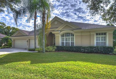 10314 Carroll Cove Place Tampa FL 33612