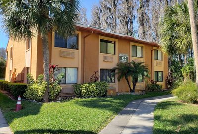 20861 Haulover Cove Lutz FL 33558