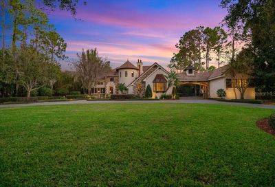 11006 Bridge House Road Windermere FL 34786