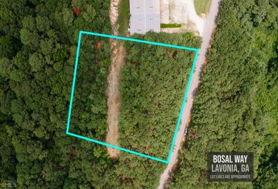 Bosal Way Lavonia GA 30553