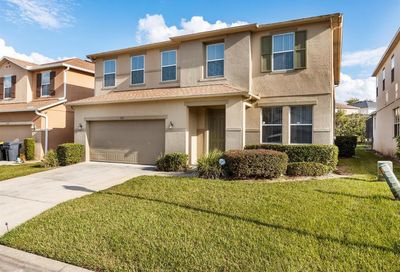 262 Willow View Dr Davenport FL 33896