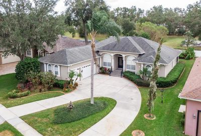 2321 Valrico Forest Drive Valrico FL 33594