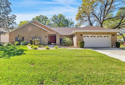 2710 Saint Cloud Oaks Drive Valrico FL 33594