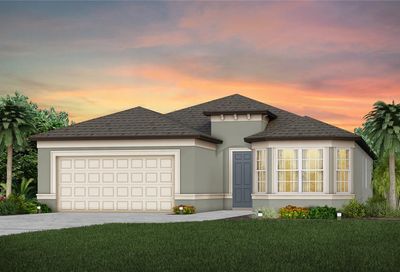 2859 Dolores Home Avenue Valrico FL 33594