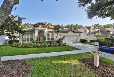 3113 Bent Creek Drive Valrico FL 33596