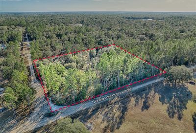 Tbd NE 97th Court Bronson FL 32621
