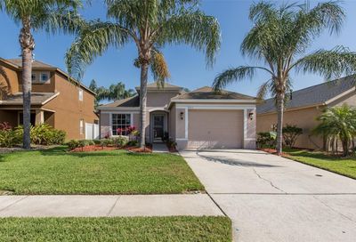 3612 Heron Island Drive New Port Richey FL 34655
